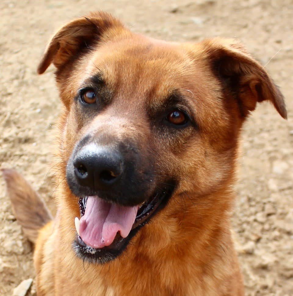 Xena - AF2471PL Xena - AF2471PL