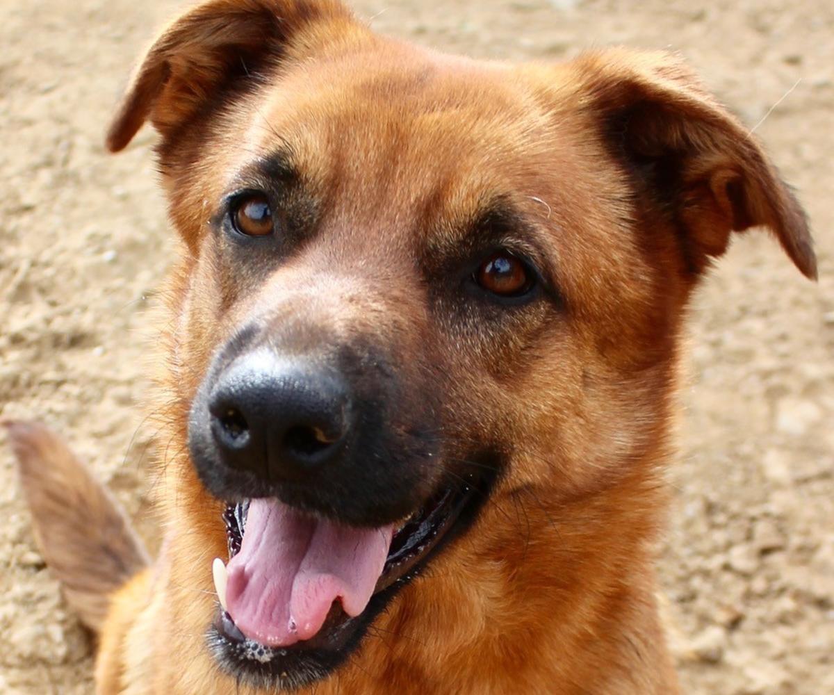 Xena - AF2471PL Xena - AF2471PL