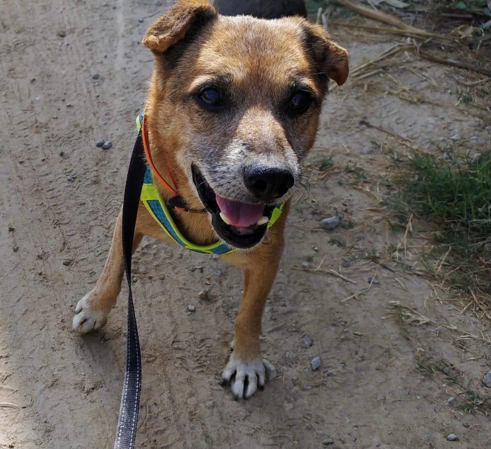 Pure - AM25239LB Pure - AM25239LB