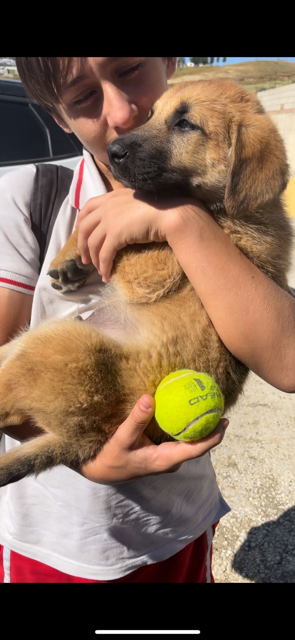 Samson - PM25174 Samson - PM25174