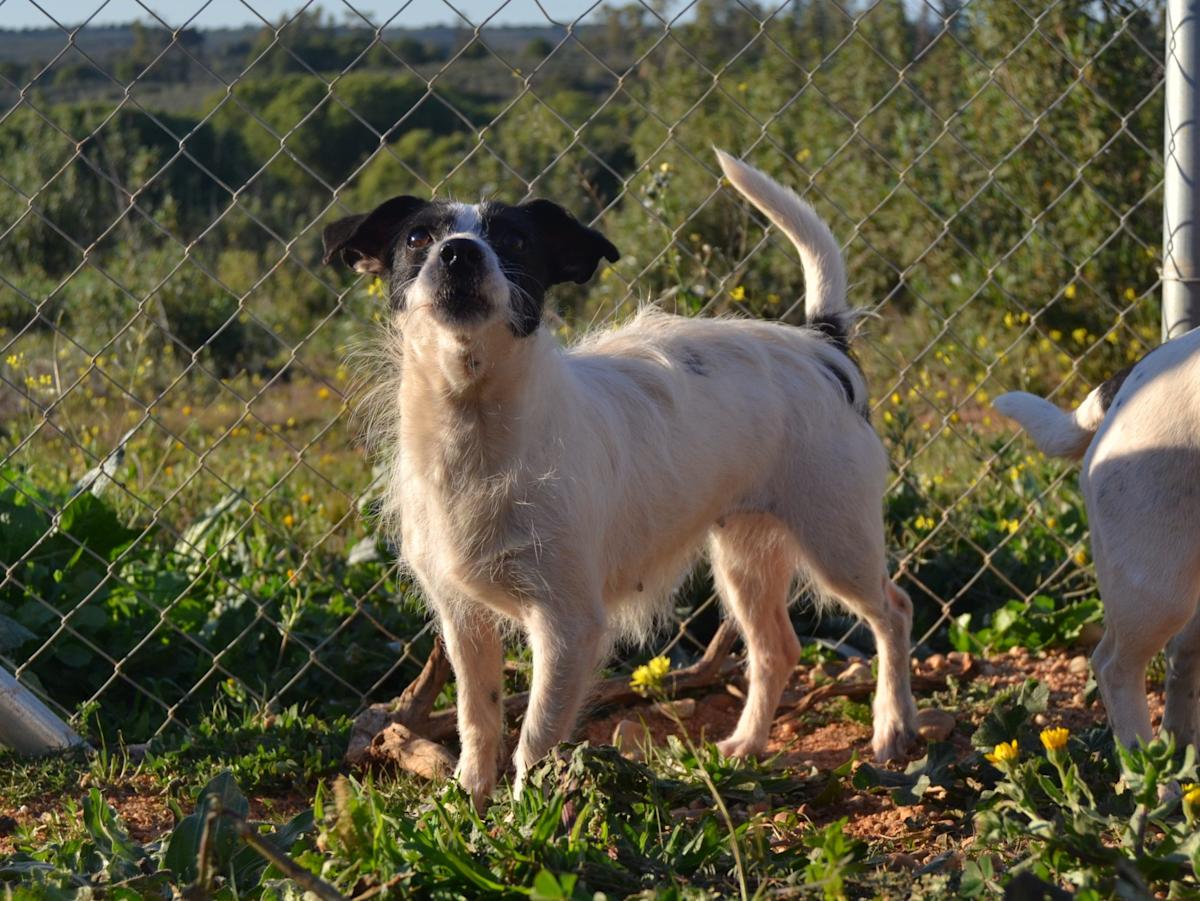 Erin - AF25141LC Erin - AF25141LC