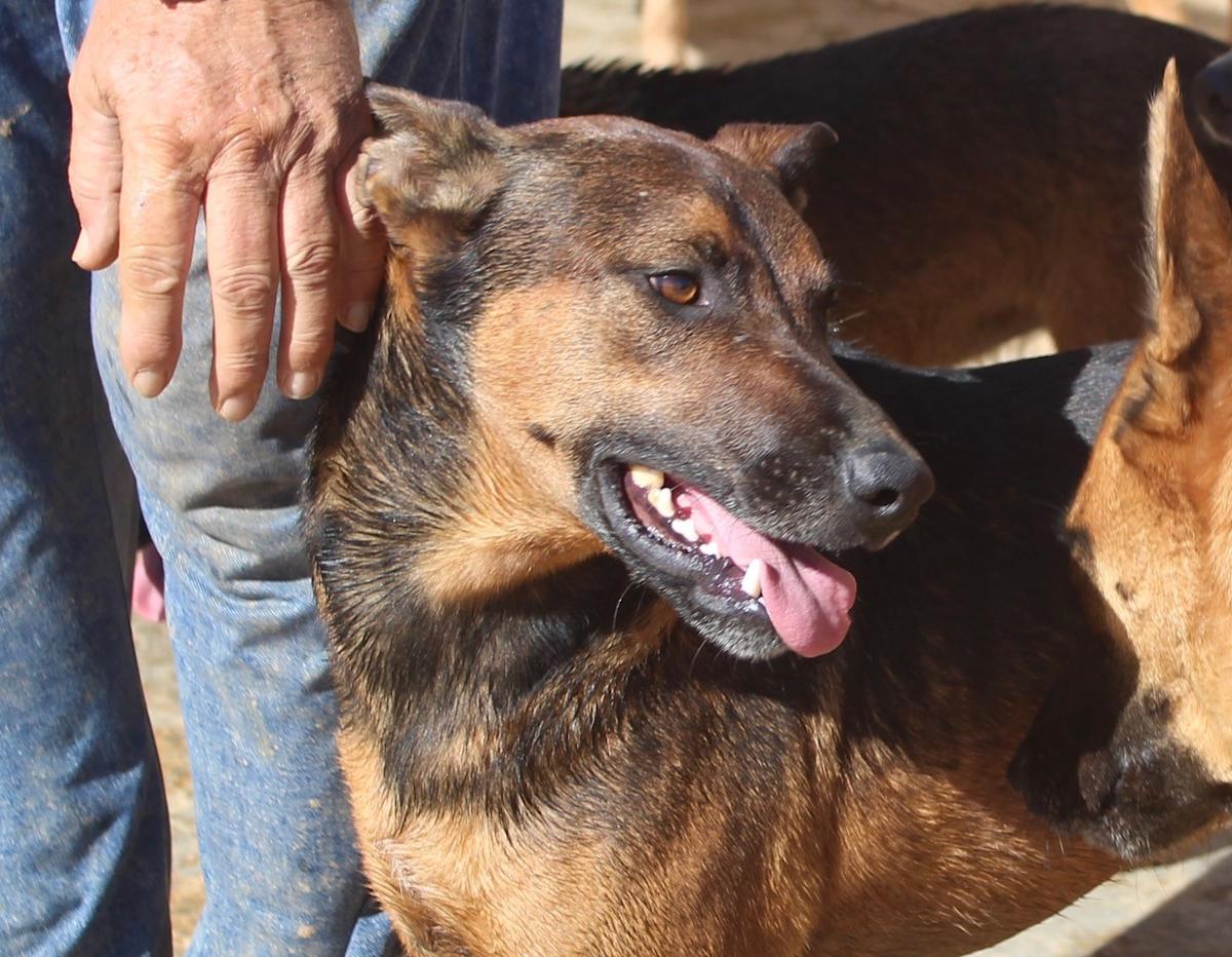 Romeo and Juliet - 25203PL Romeo and Juliet - 25203PL