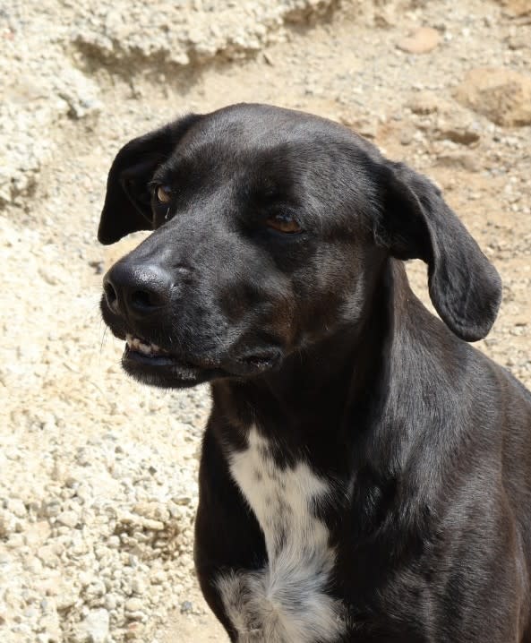 Kira - AF25167AD Kira - AF25167AD