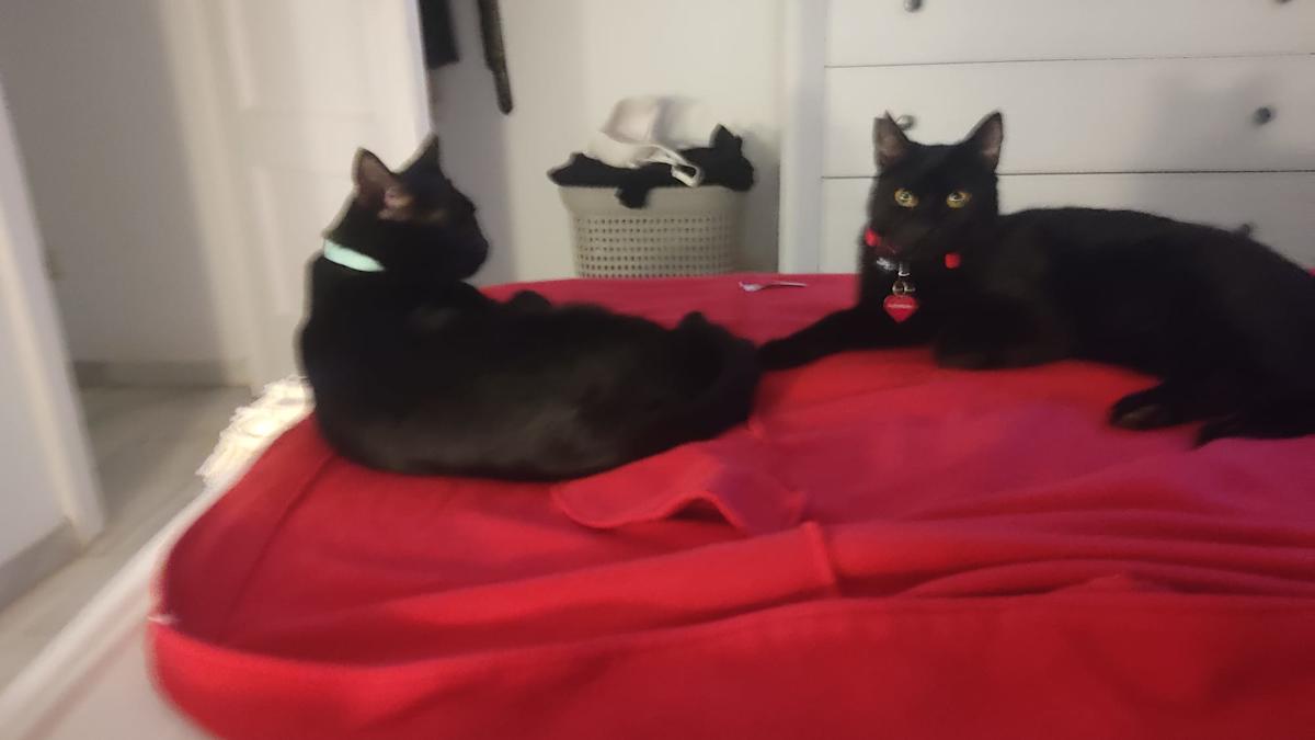 Sooty and Sweep - G26342 Sooty and Sweep - G26342