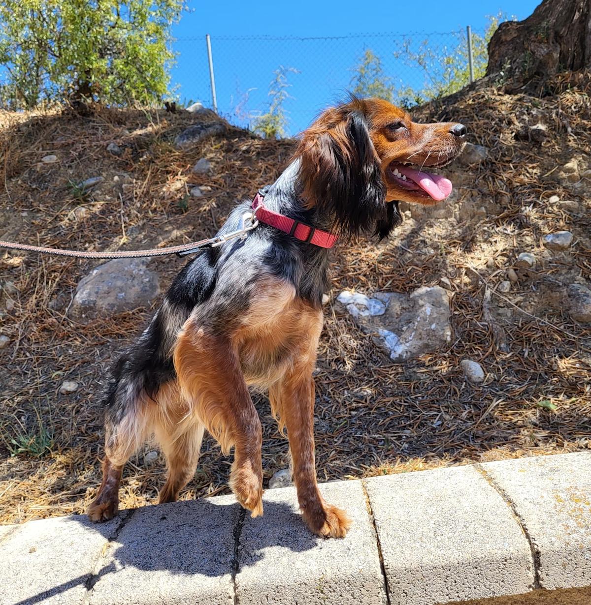 Hala - YF25191 Hala - YF25191