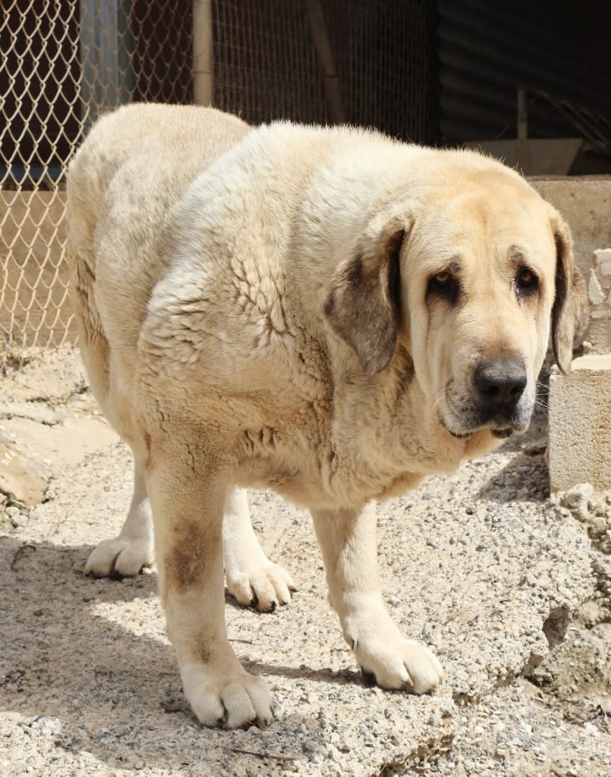 Cloud - AF25168AD Cloud - AF25168AD