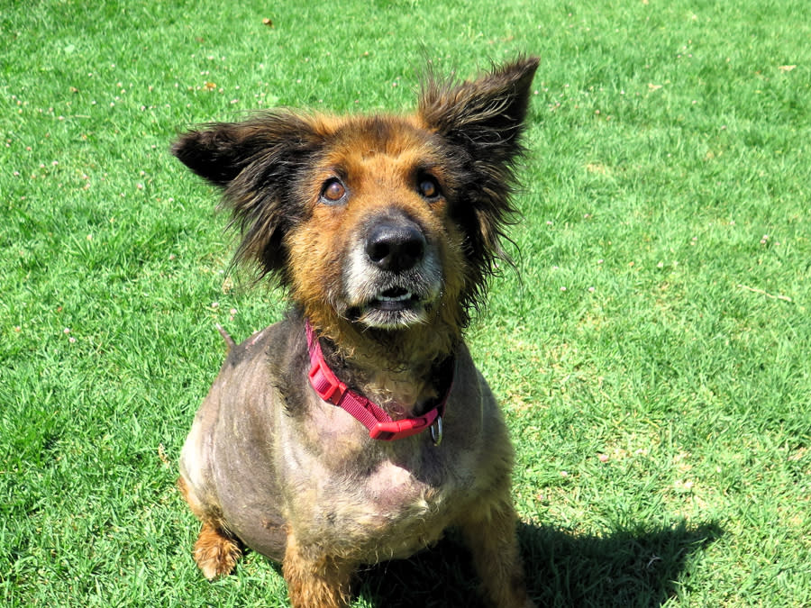 Duque - AM25240LB Duque - AM25240LB