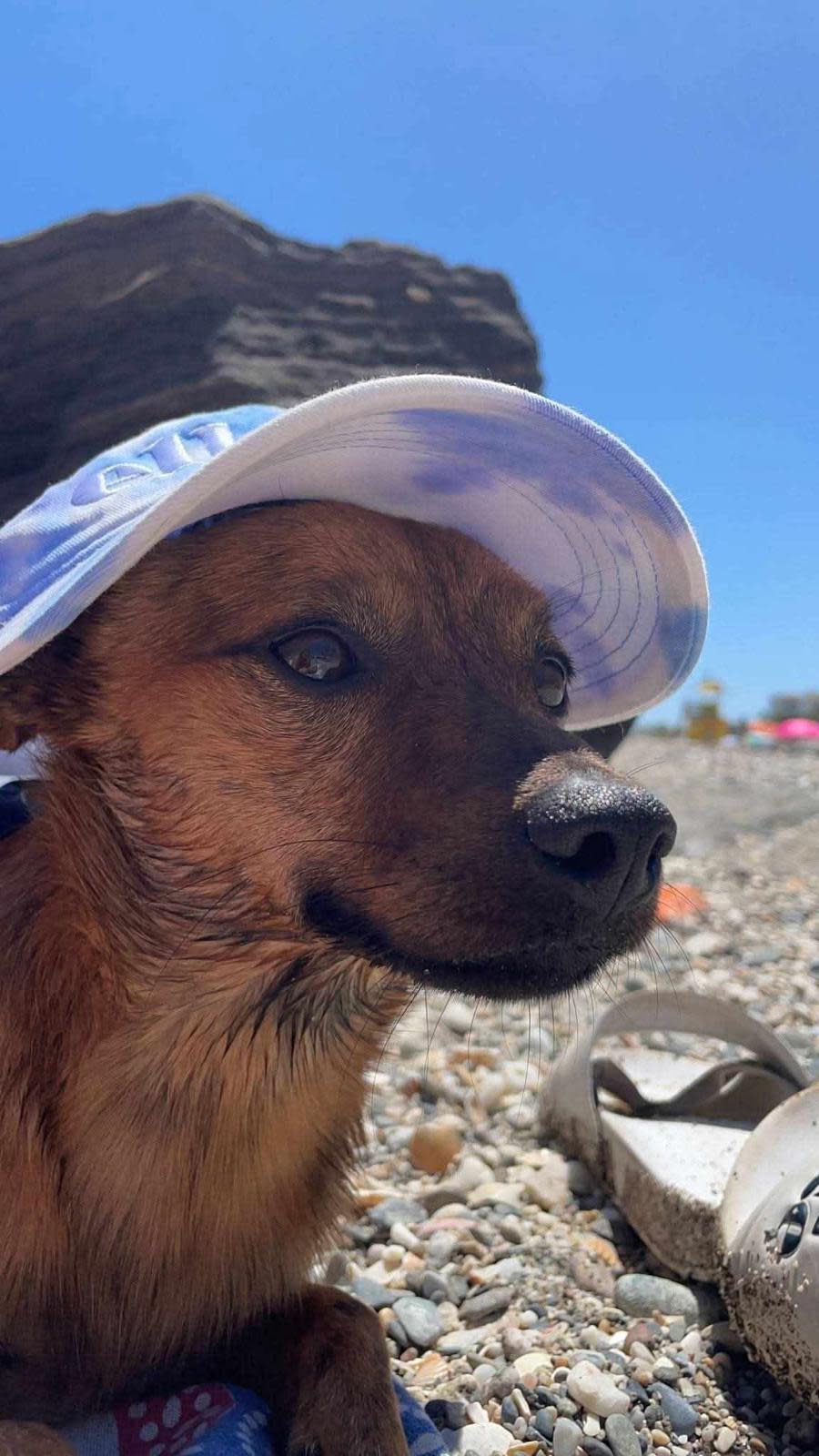 Lucky - AM25242 Lucky - AM25242