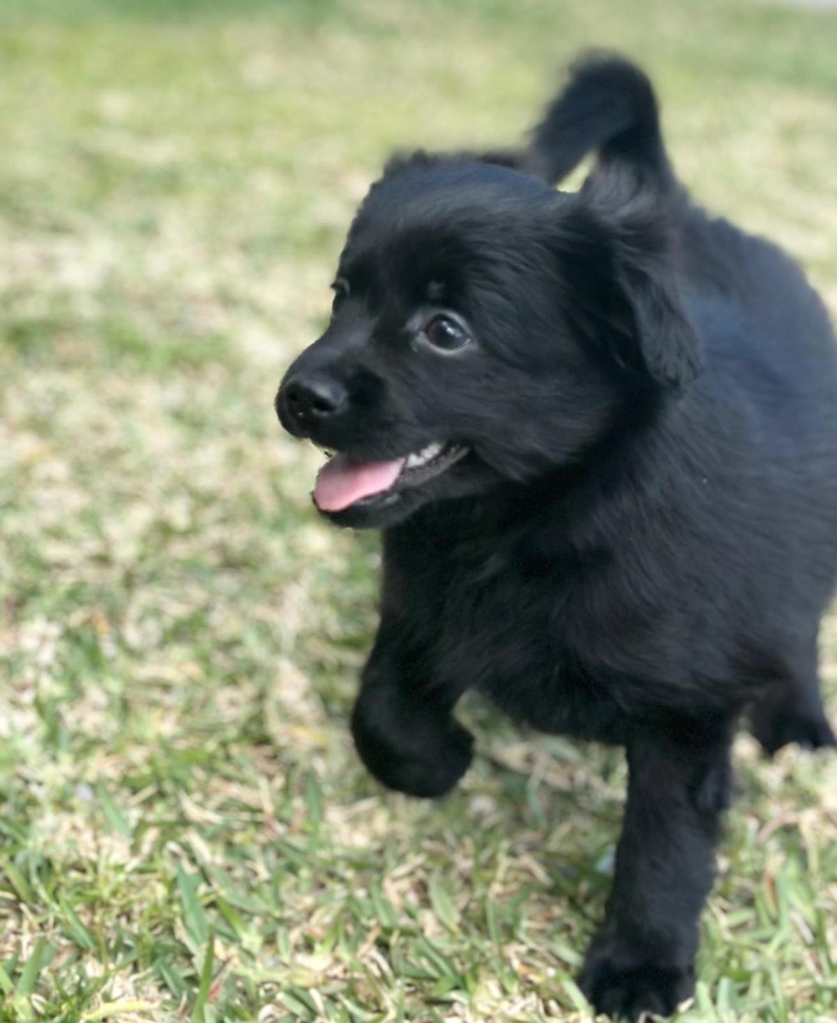 Cuddles - PM246A Cuddles - PM246A