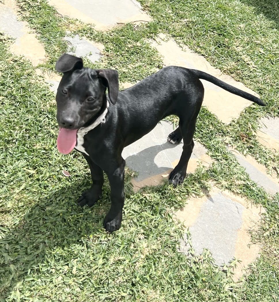 Jet - PF25120 Jet - PF25120