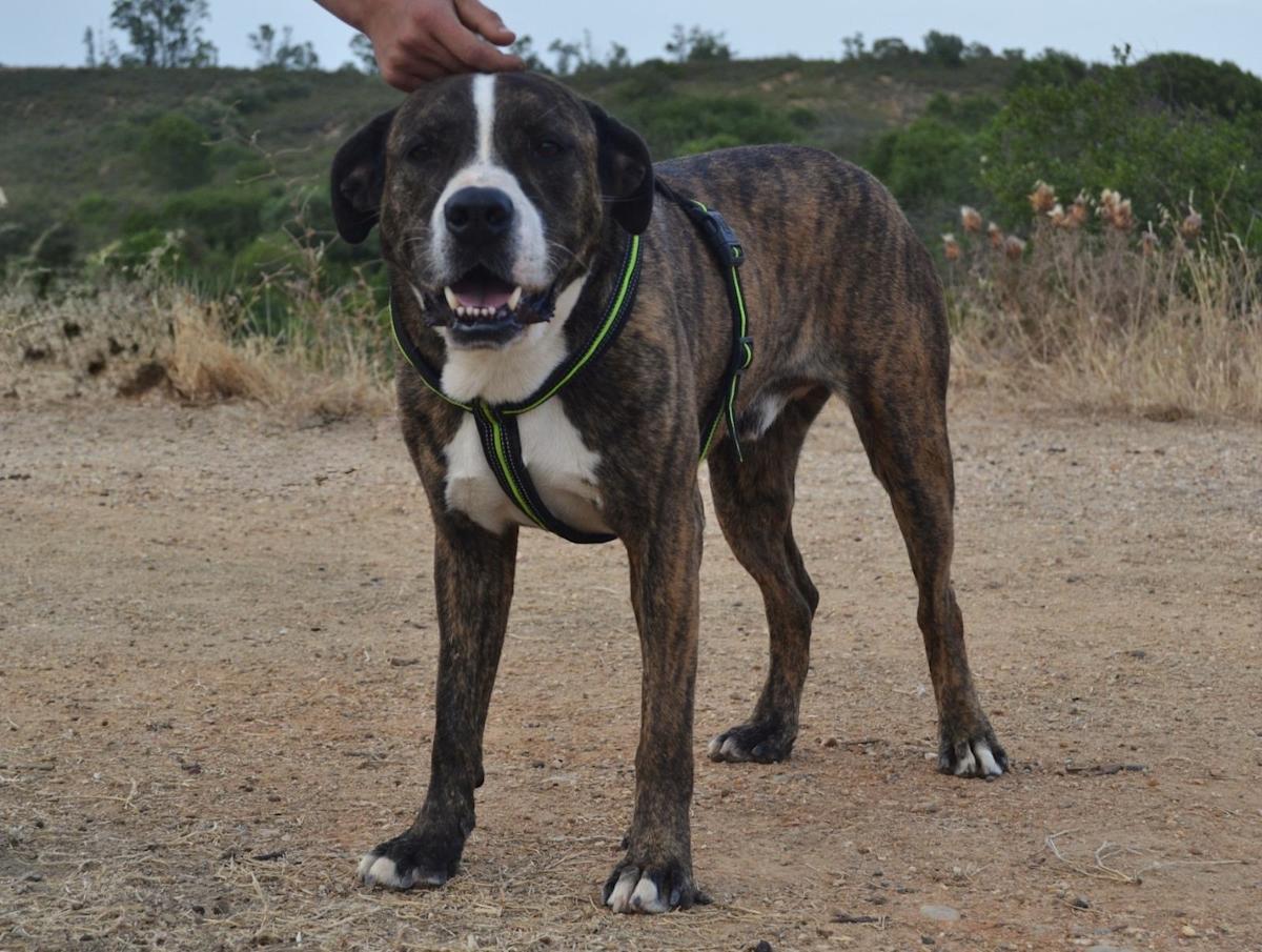 River - AM25183 River - AM25183