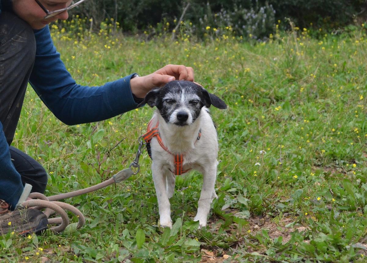 Jan  - AF25143LC Jan  - AF25143LC