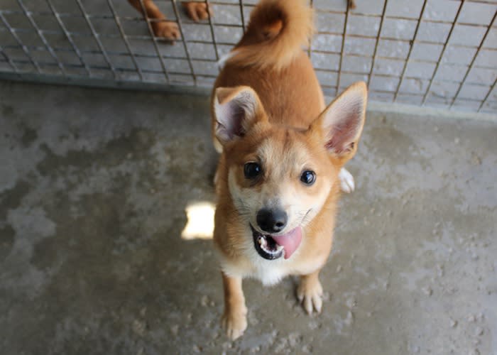 Bambina - PF26280LB Bambina - PF26280LB