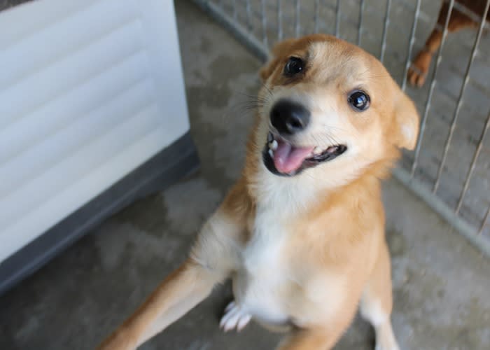 Bambina - PF26280LB Bambina - PF26280LB