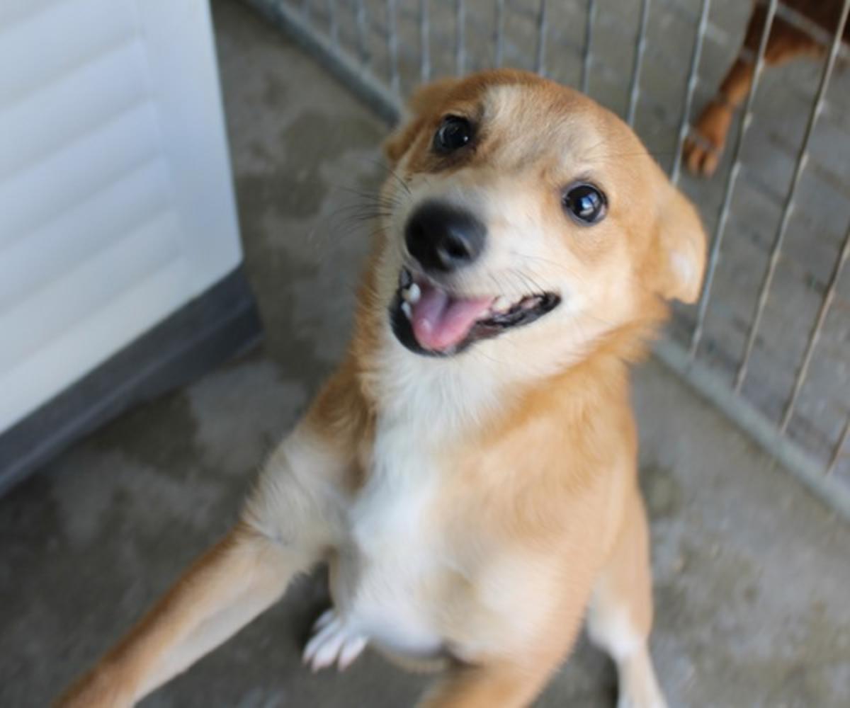 Bambina - PF26280LB Bambina - PF26280LB