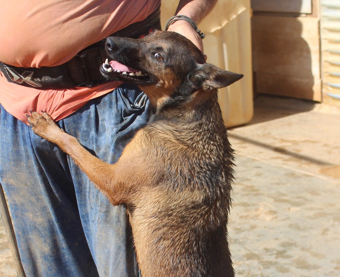 Romeo and Juliet - 25203PL Romeo and Juliet - 25203PL