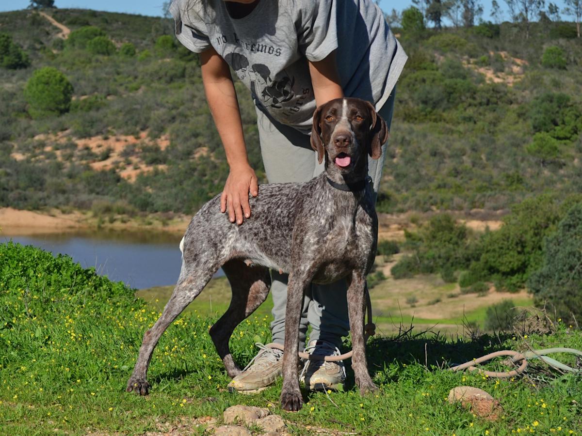 Karla - AF25137LC Karla - AF25137LC