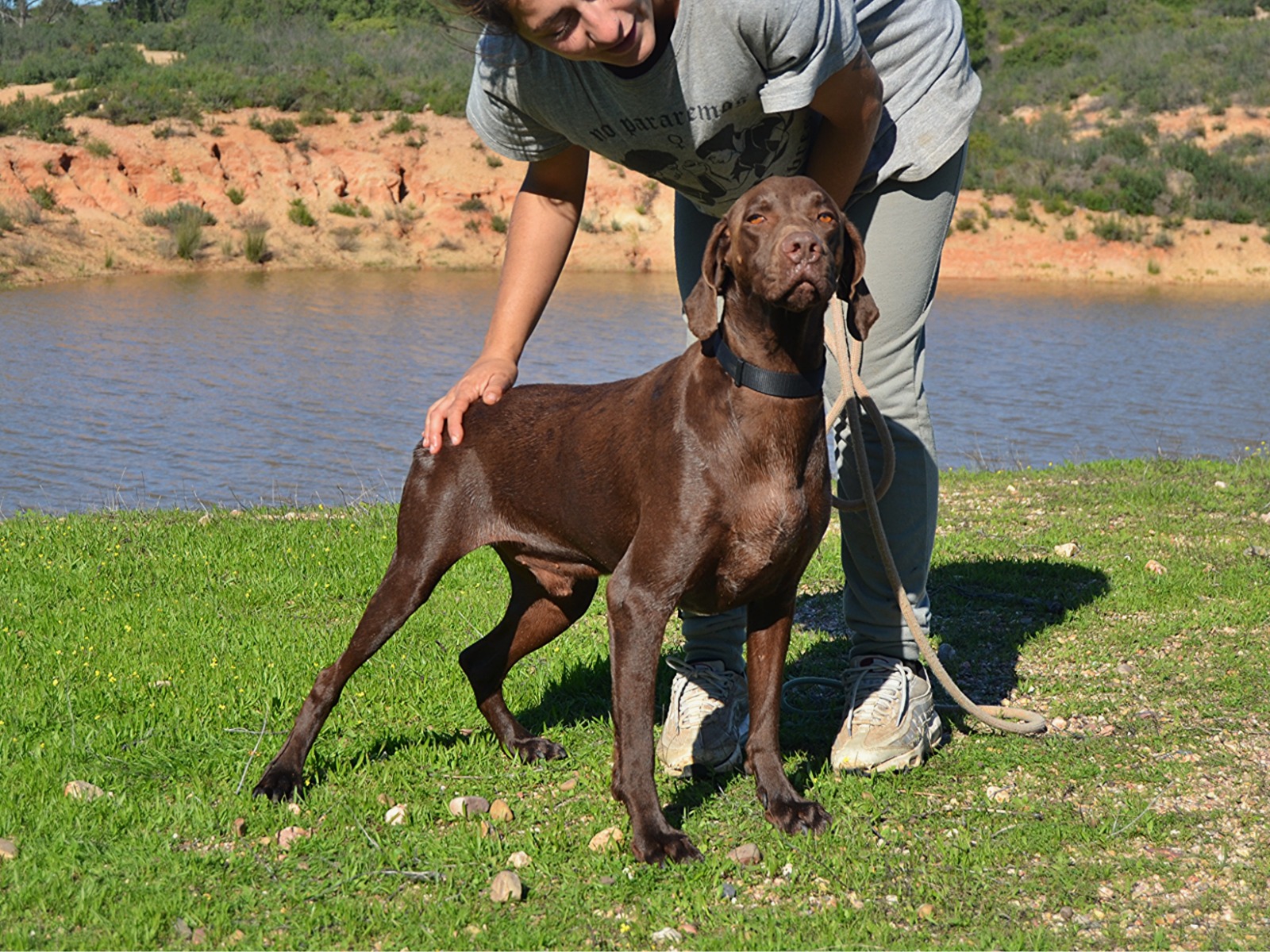 Karliche - AM25138LC