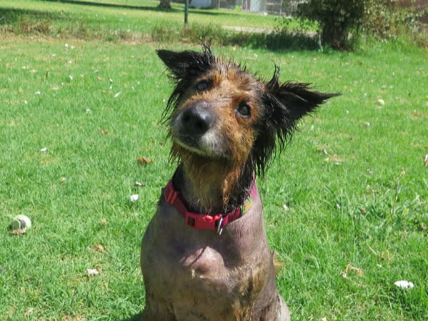 Duque - AM25240LB Duque - AM25240LB