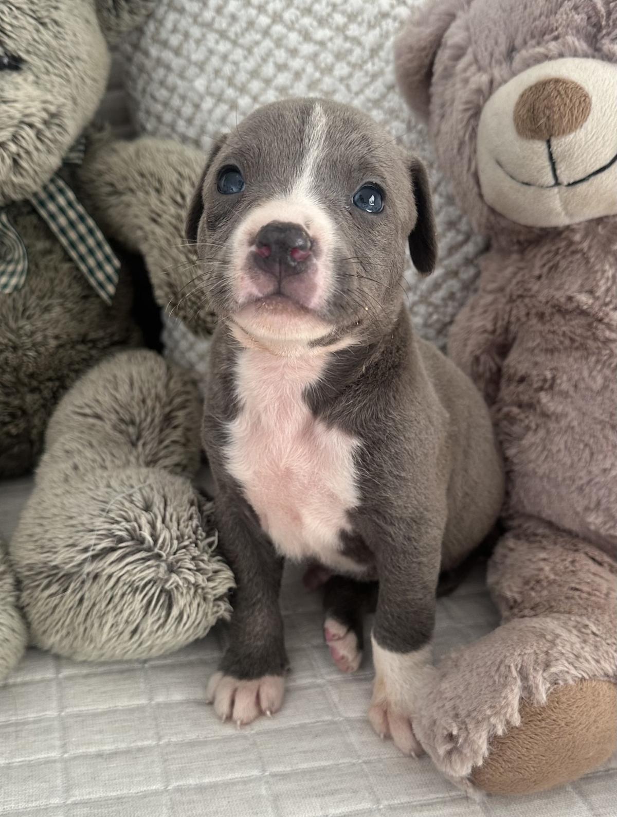 Bryan - PM25123 Bryan - PM25123