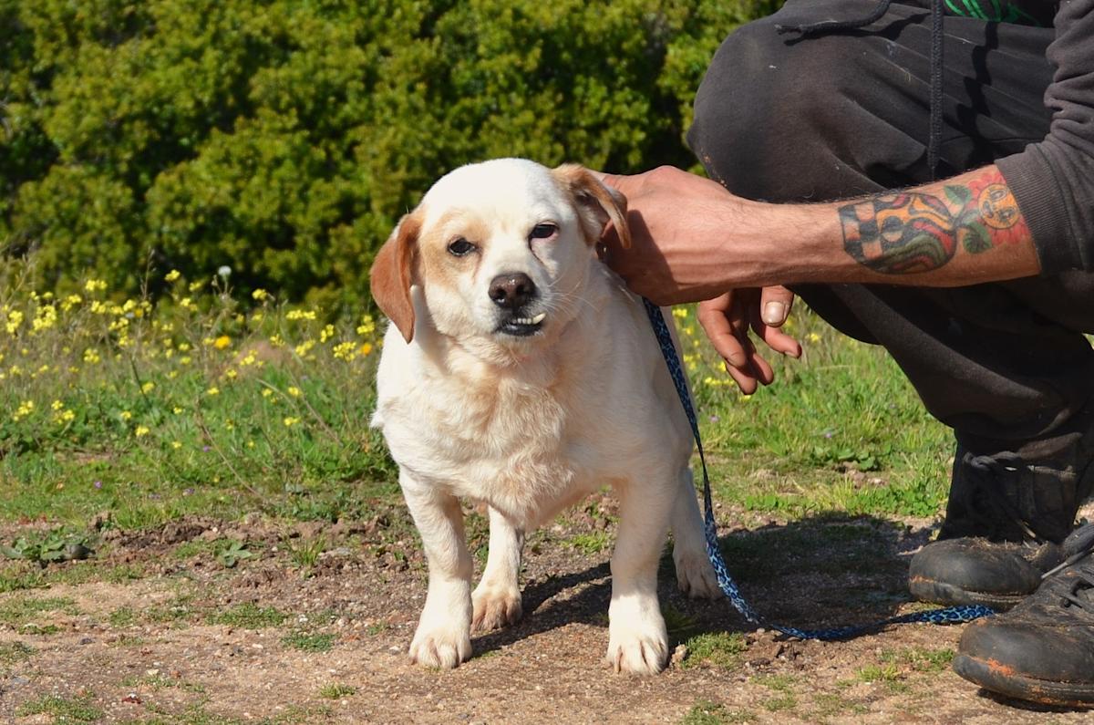 Kevin - AM25146LC Kevin - AM25146LC