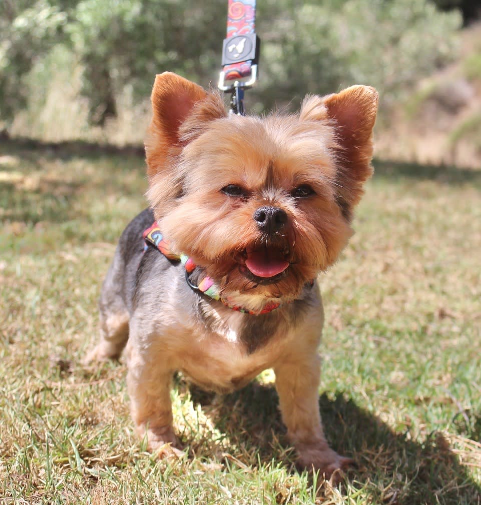 Julio - AM2462RH Julio - AM2462RH