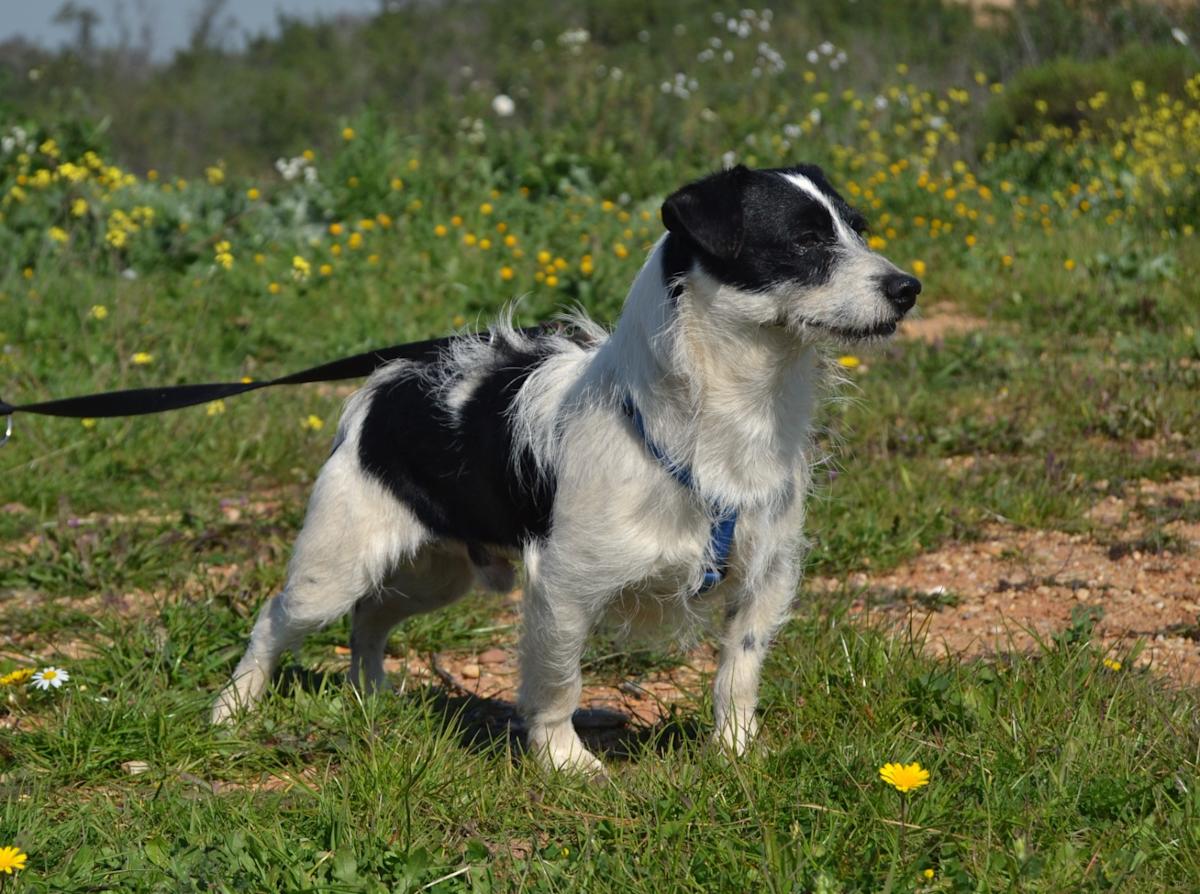 Jim - AM25144LC Jim - AM25144LC