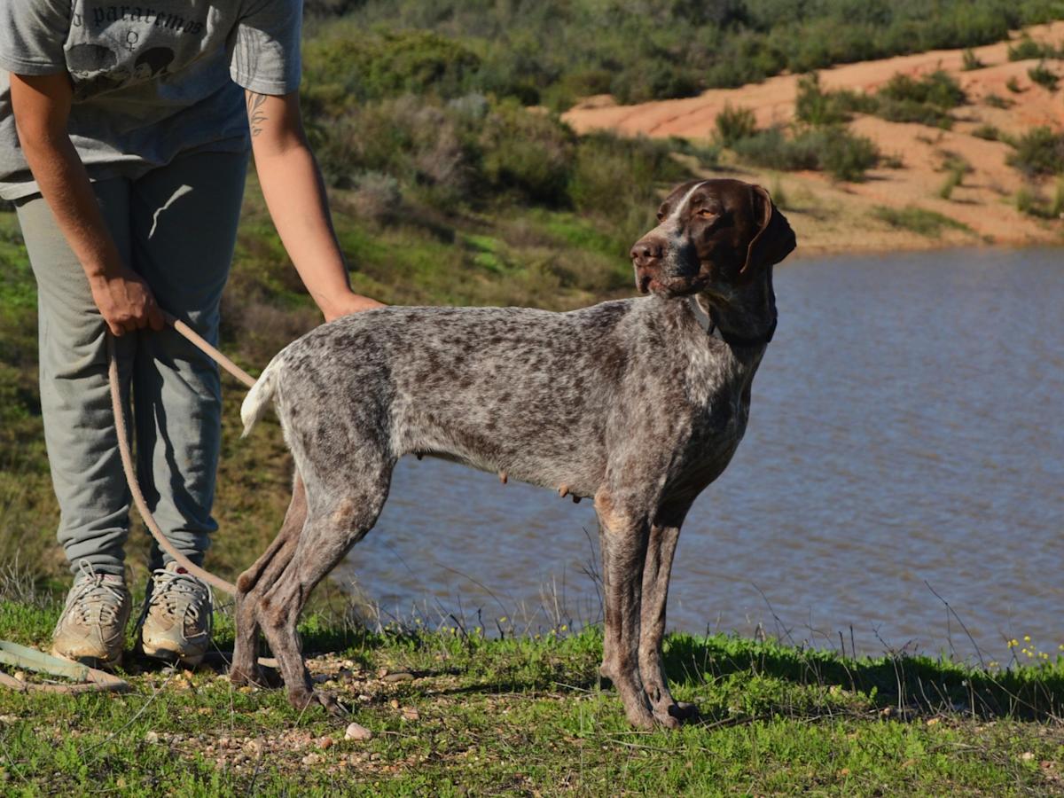 Karla - AF25137LC Karla - AF25137LC