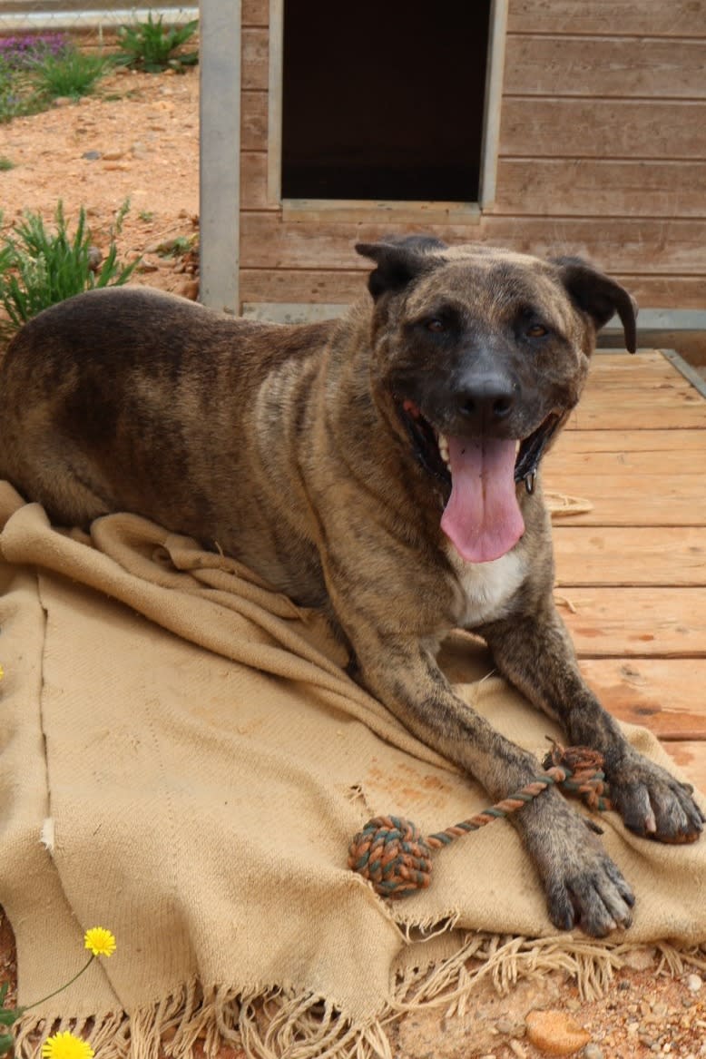 Israel - AM25225 Israel - AM25225