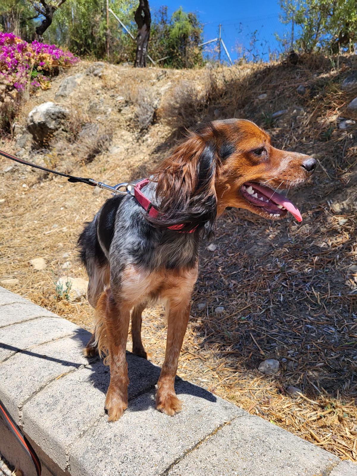 Hala - YF25191 Hala - YF25191