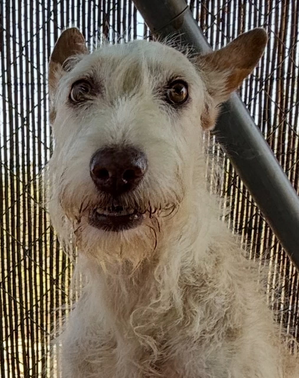 Ria - AF25207 Ria - AF25207