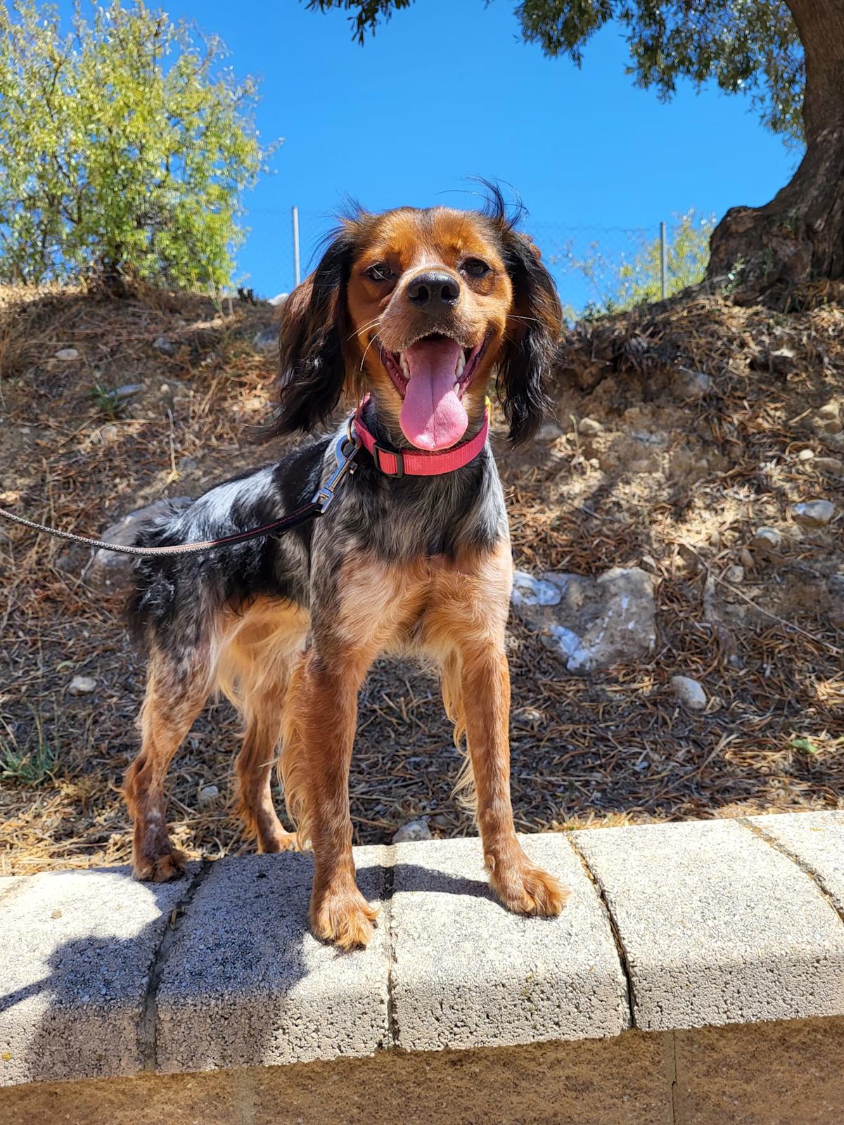 Hala - YF25191 Hala - YF25191