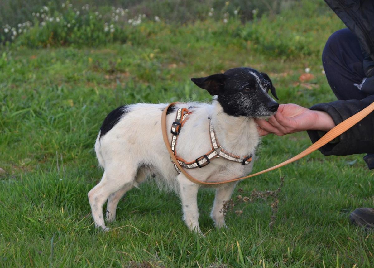 Kathy - AF25140LC Kathy - AF25140LC