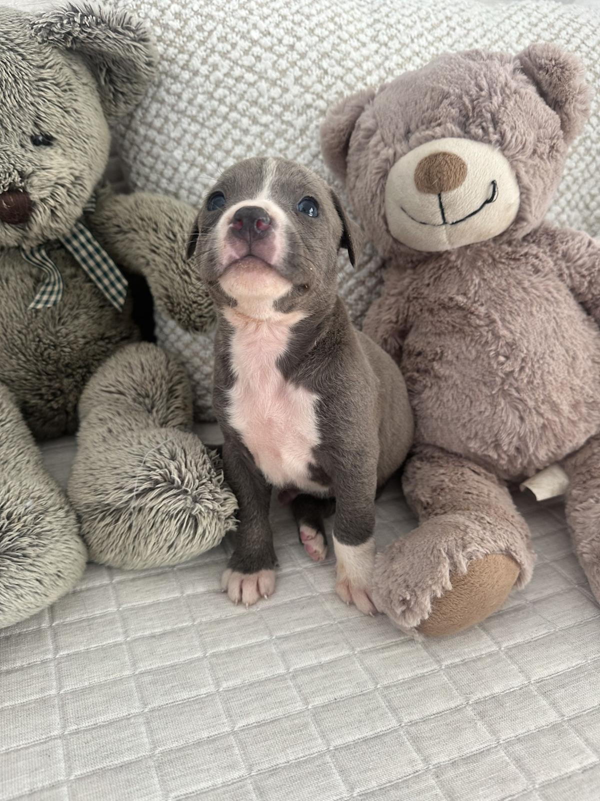 Bryan - PM25123 Bryan - PM25123