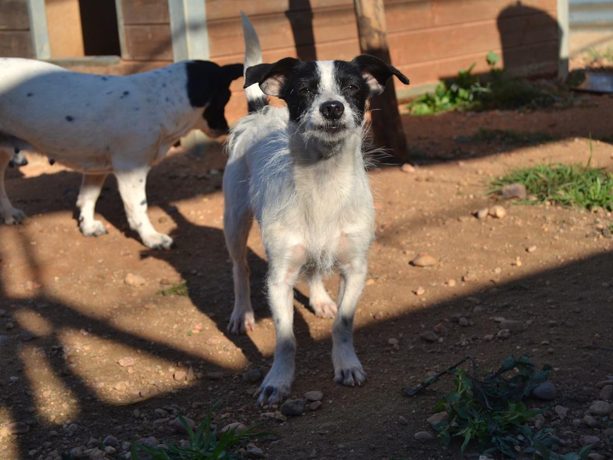 Erin - AF25141LC Erin - AF25141LC