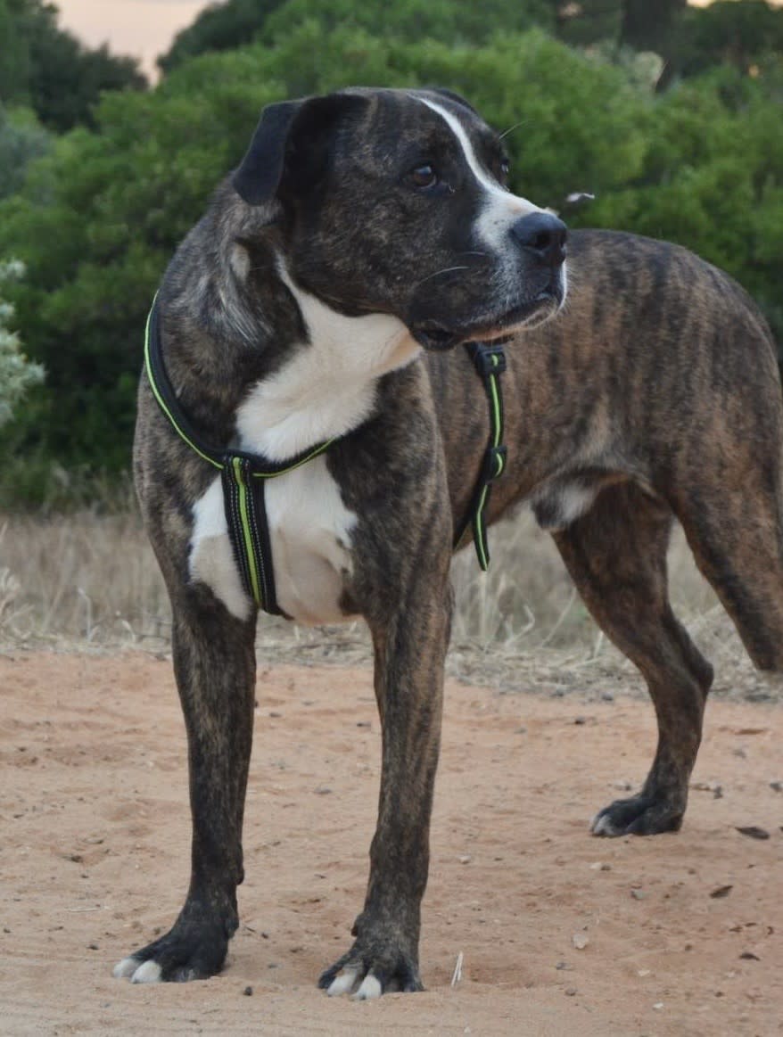 River - AM25183 River - AM25183