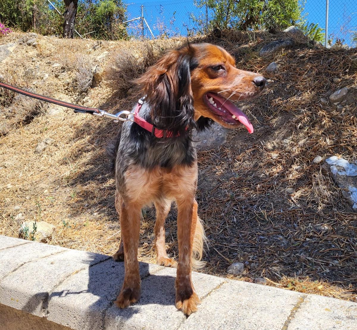 Hala - YF25191 Hala - YF25191