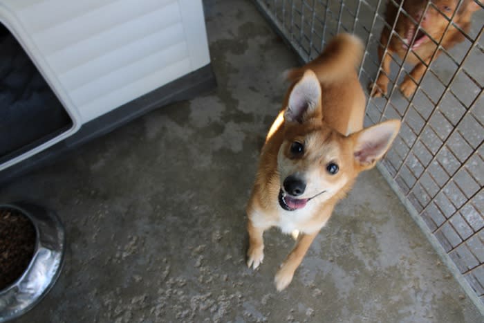 Bambina - PF26280LB Bambina - PF26280LB