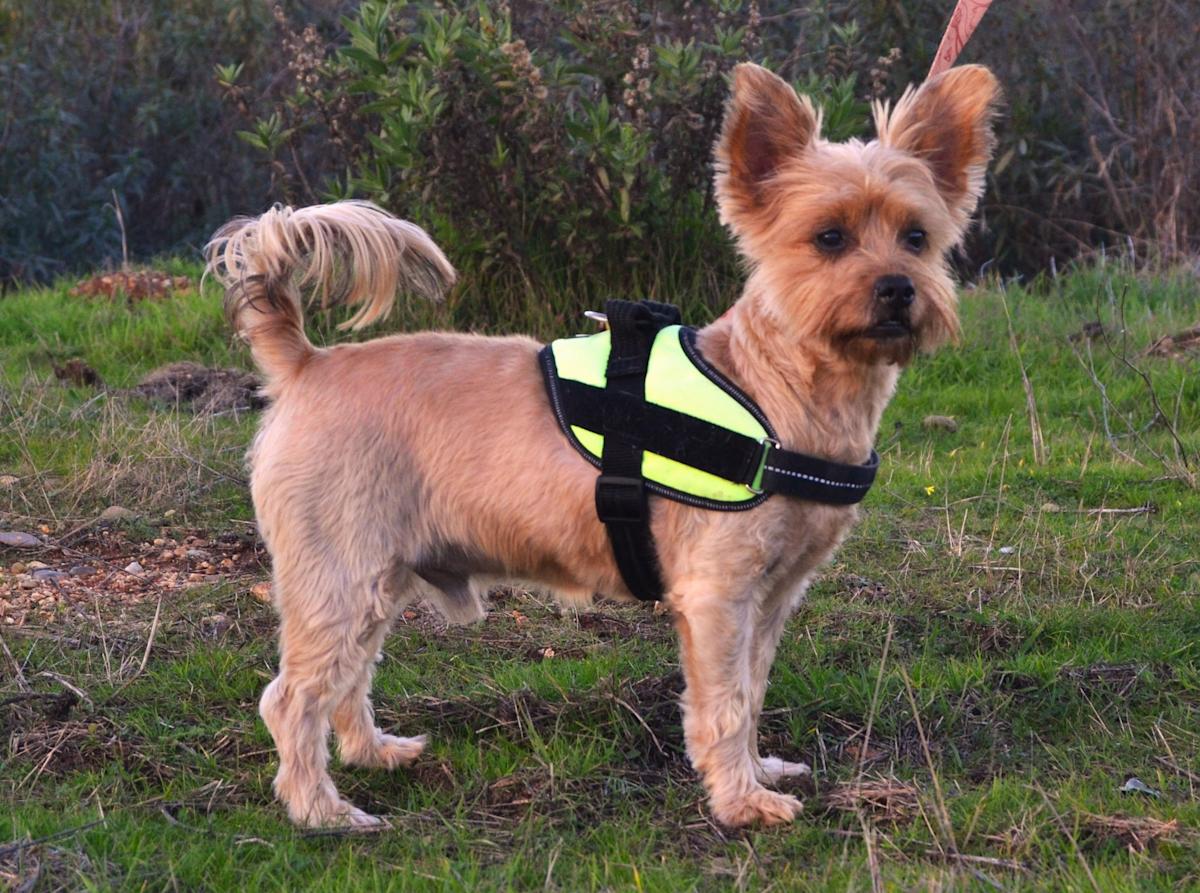 Miki - AM26243LC Miki - AM26243LC