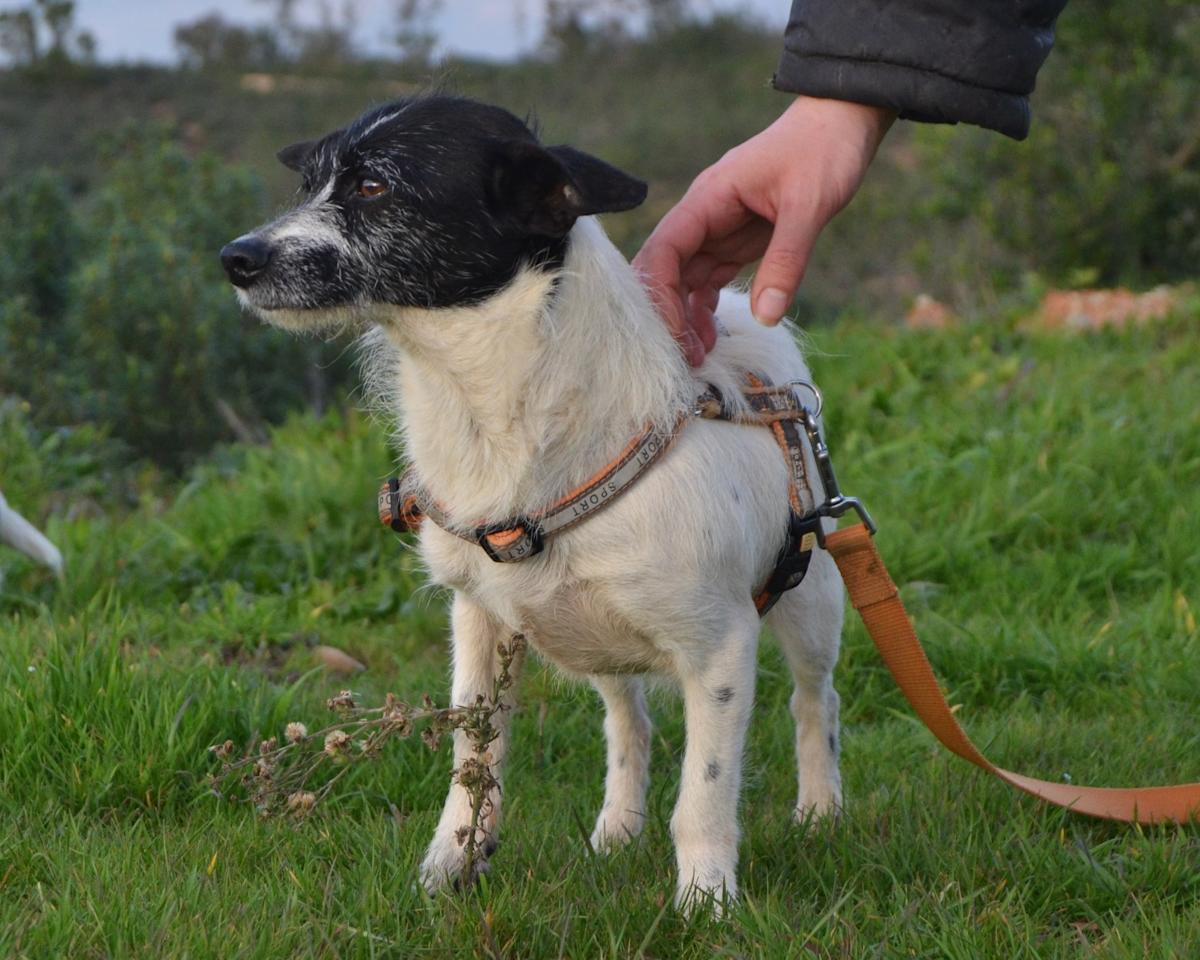 Kathy - AF25140LC Kathy - AF25140LC