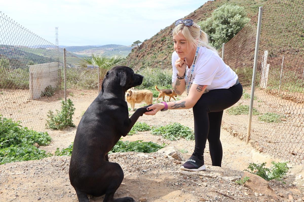 Kira - AF25167AD Kira - AF25167AD