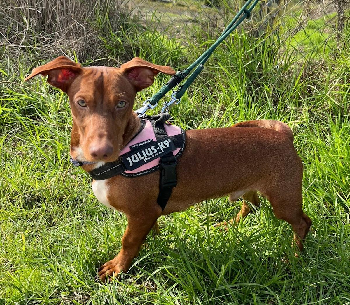 Bubble - PM25235LB Bubble - PM25235LB