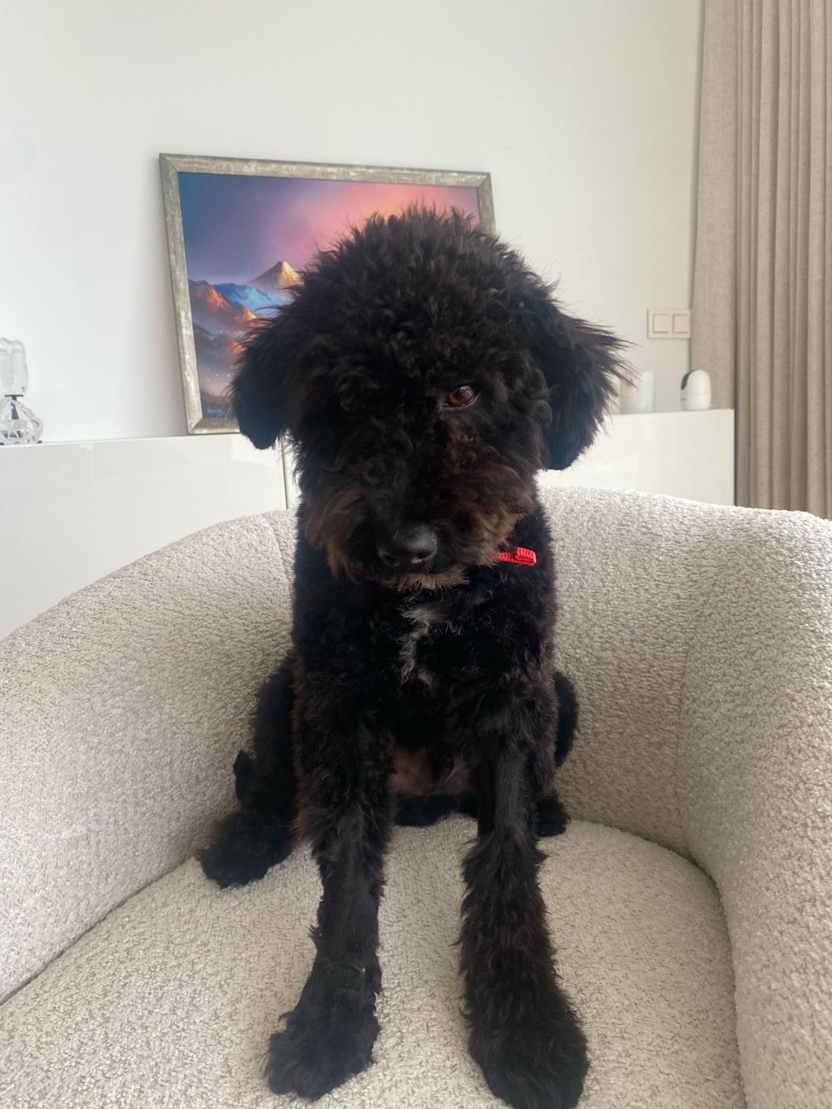 Nico - YM25124 Nico - YM25124