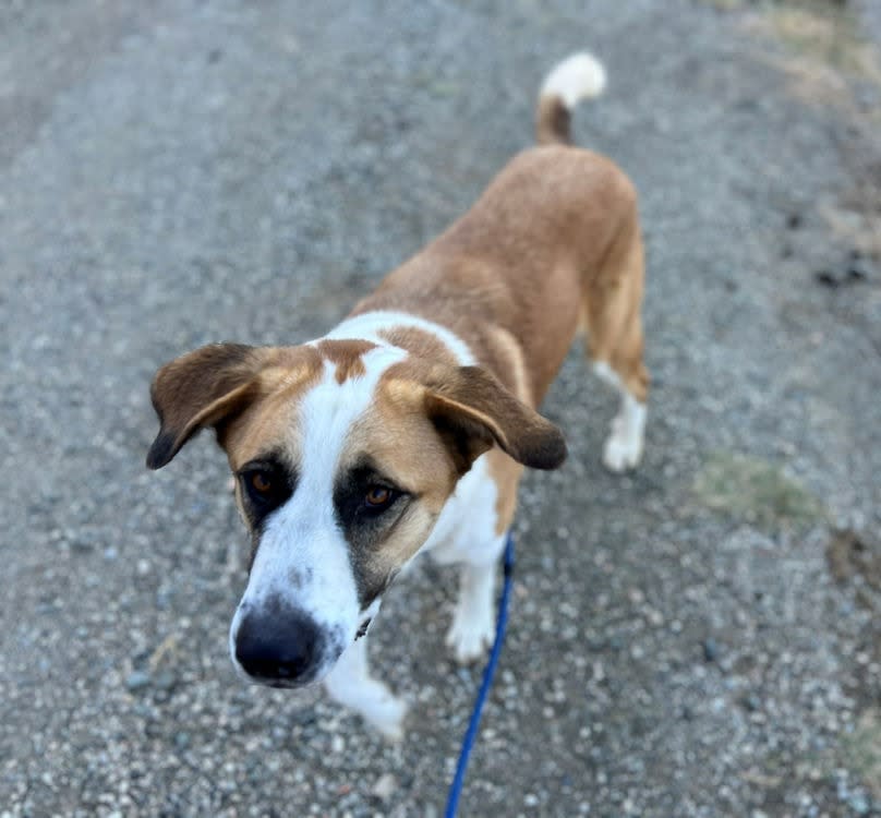 Karina - AF26254AD Karina - AF26254AD