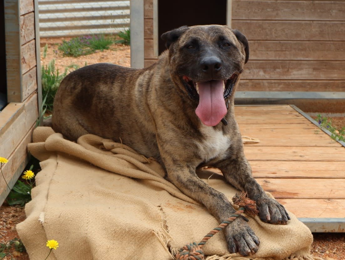 Israel - AM25225 Israel - AM25225