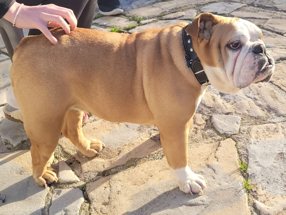 Miami - AF26261AD Miami - AF26261AD