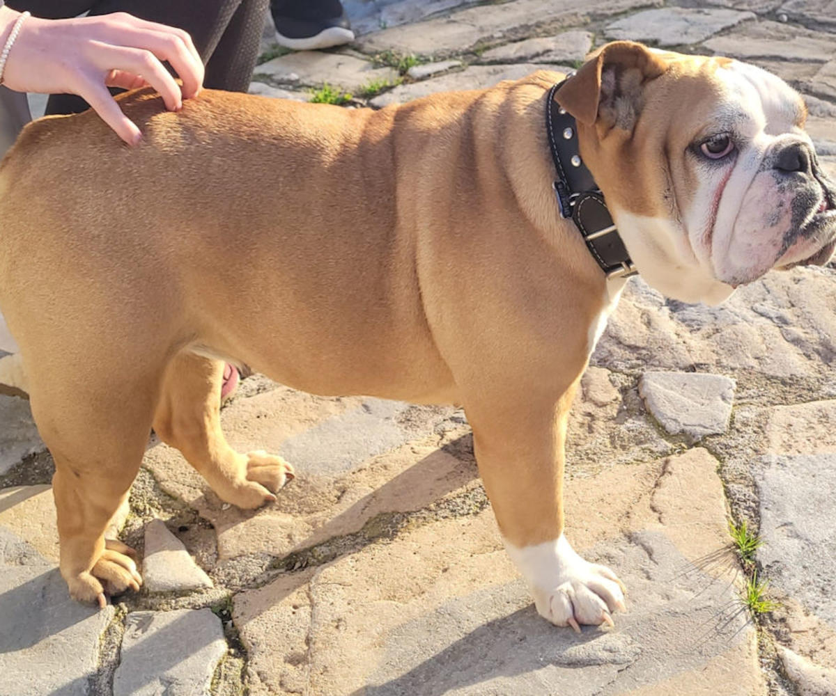 Miami - AF26261AD Miami - AF26261AD