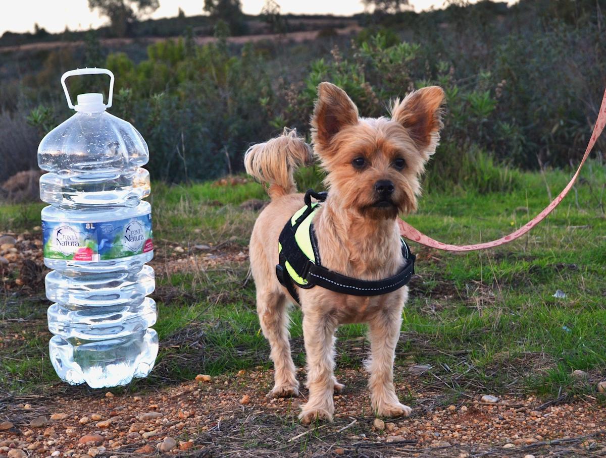 Miki - AM26243LC Miki - AM26243LC