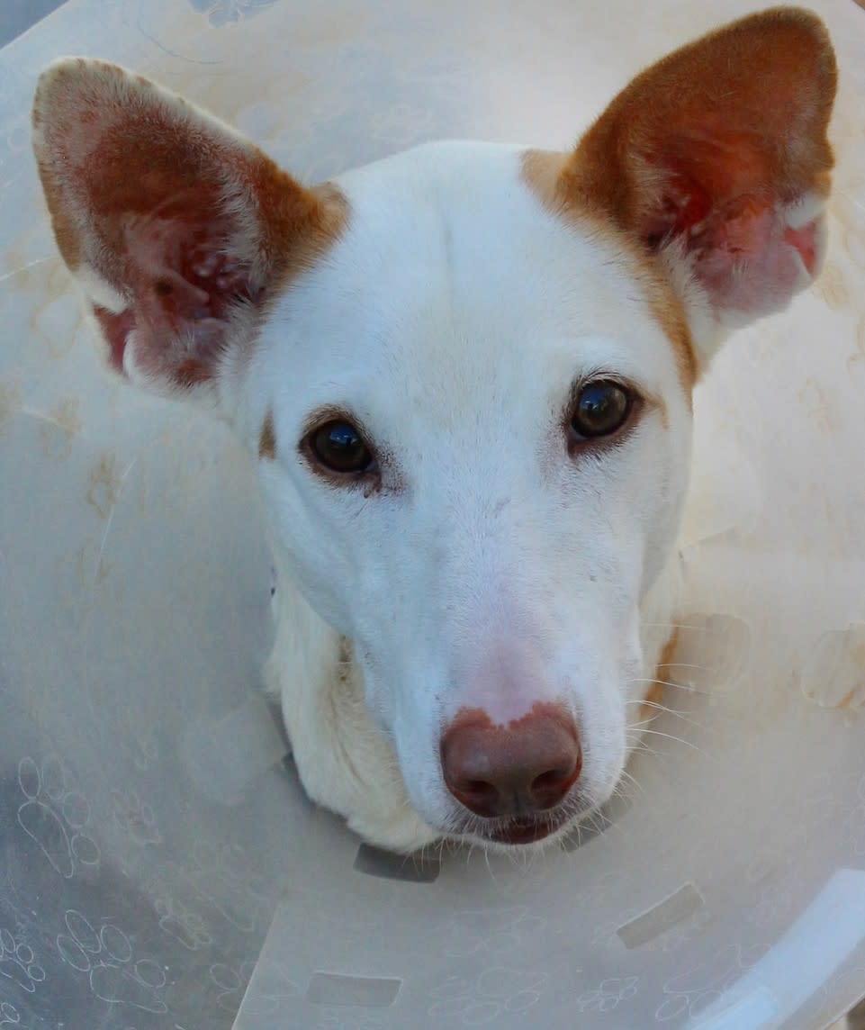 Marla - AF228ML Marla - AF228ML