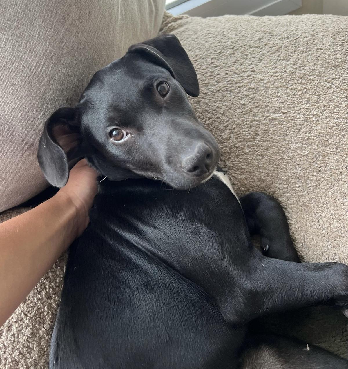 Jet - PF25120 Jet - PF25120